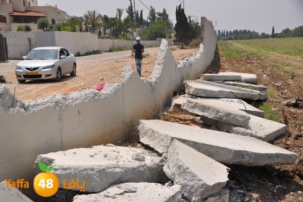 wallludshaneer509 (1).JPG